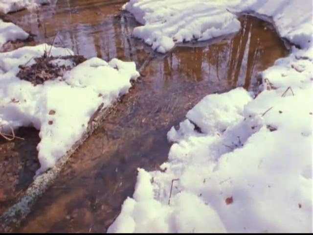 Алибек Днишев Весенние воды